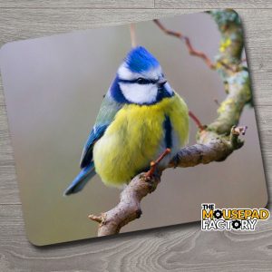 Blue Tit Bird Mouse Pad
