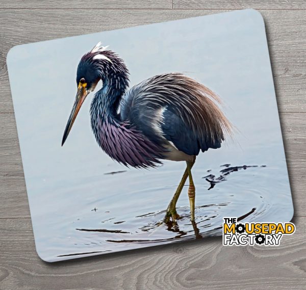 Tricolored Heron Mouse Pad