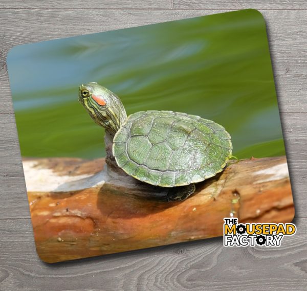 Baby Painted Turtle Mouse Pad