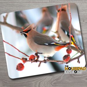Bohemian Waxwing Birds Mouse Pad