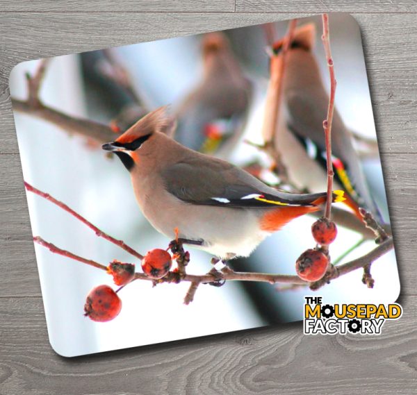 Bohemian Waxwing Birds Mouse Pad
