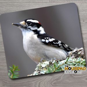 Downy Woodpecker Mouse Pad