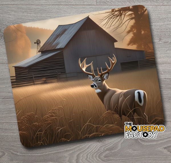 white-tailed deer stag