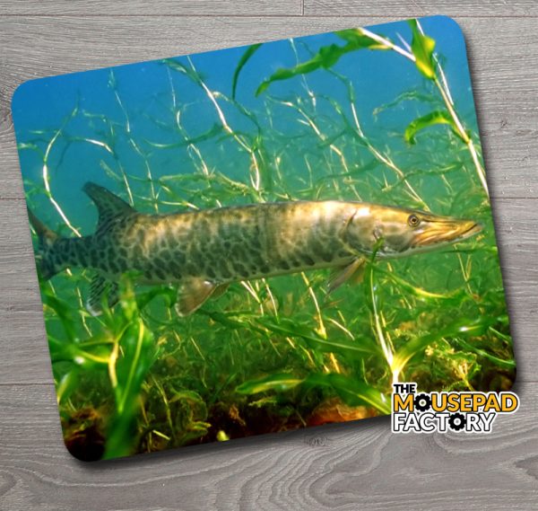 Muskie Muskellunge Mouse Pad