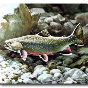 Fishing