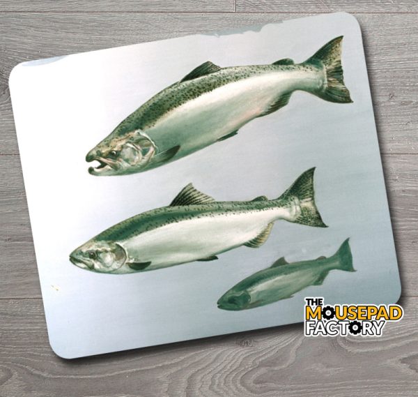 Chinook Salmon Mouse Pad