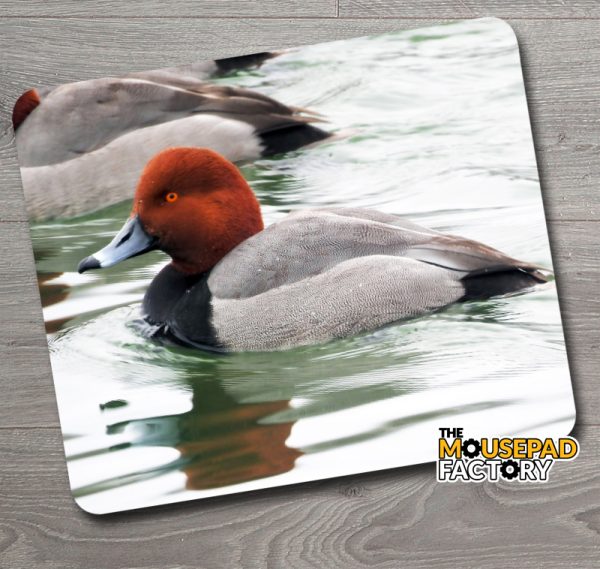 Redhead Duck Drake Mouse Pad