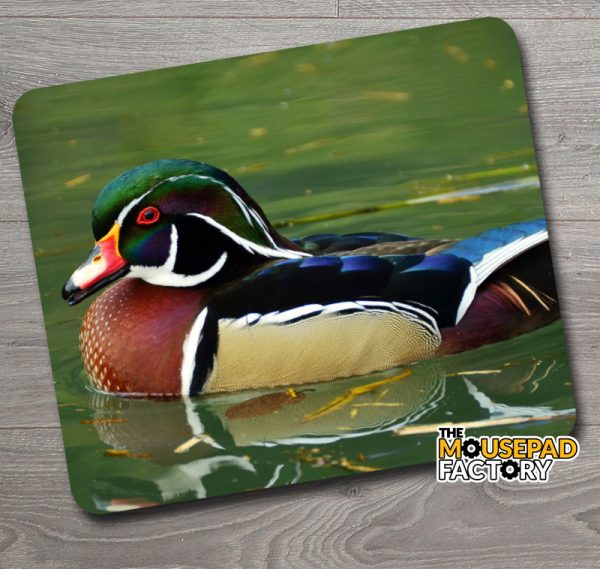 Wood Duck Drake Mouse Pad