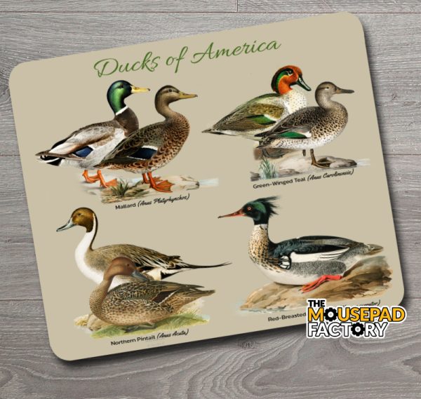 Ducks of America Mouse Pad