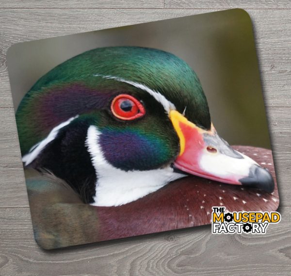 Wood Duck Mouse Pad