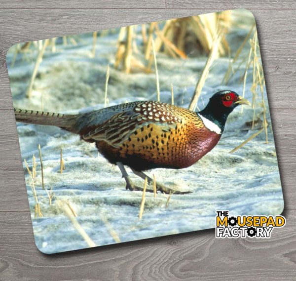 Ring-Necked Pheasant in Winter Mouse Pad