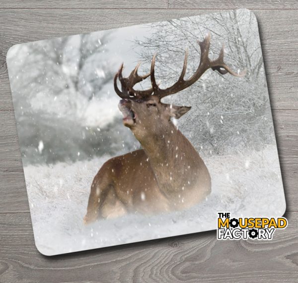 Bull Elk in Winter Mouse Pad