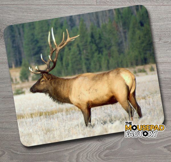 Trophy Bull Elk Mouse Pad