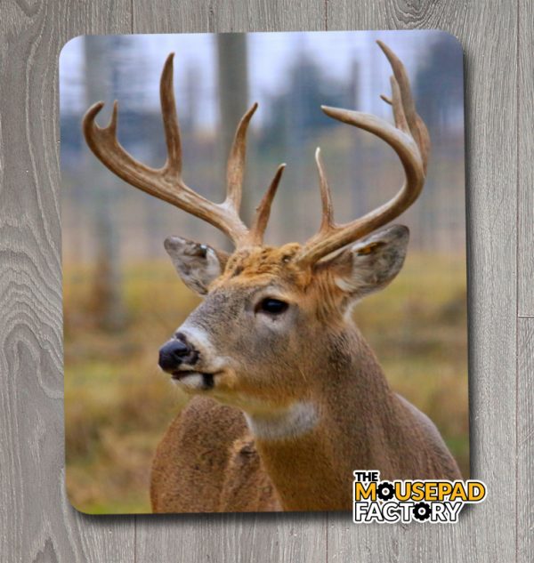 White-Tailed Deer Buck in fall Mouse Pad