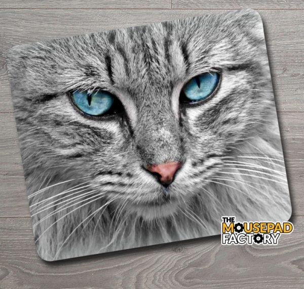 Beautiful Cat with Blue Eyes Mouse Pad