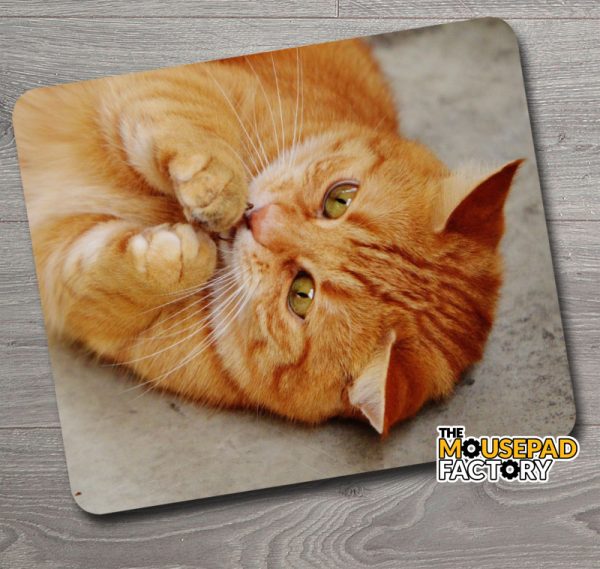 Cute Orange Tabby Cat Mouse Pad