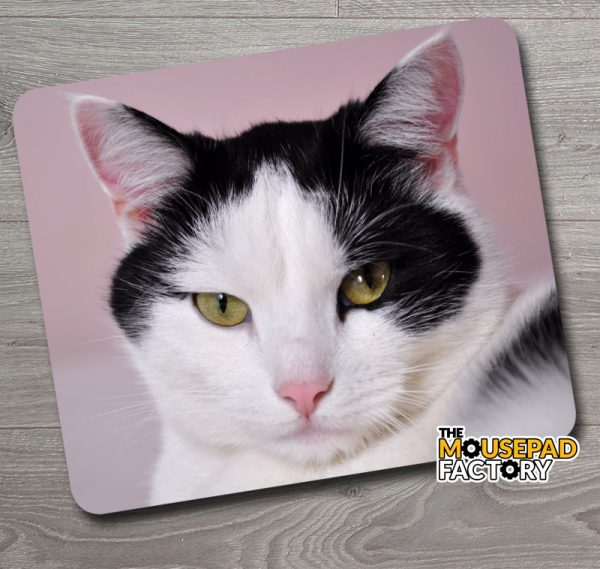 Tuxedo Cat with an attitude Mouse Pad