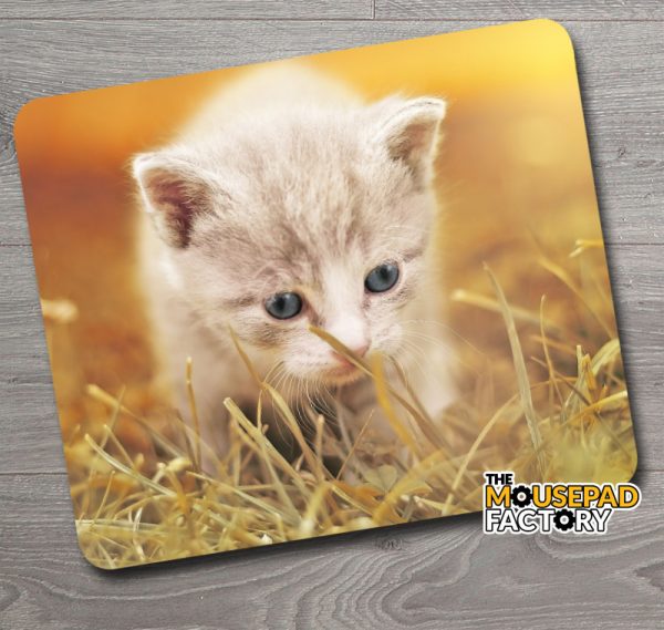 Cute Kitten Exploring Mouse Pad