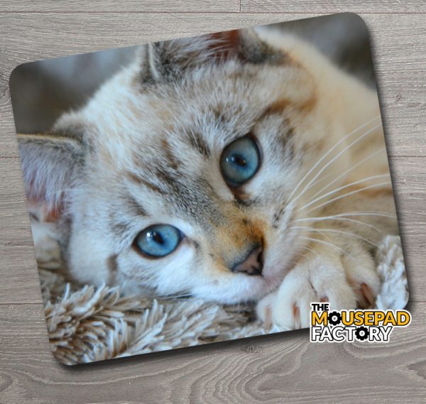 Blue Eyed White Cat Mouse Pad