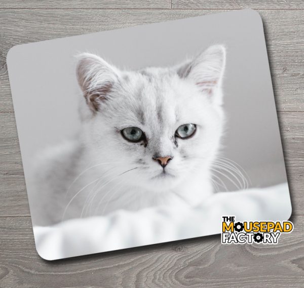 Cute White Kitten with attitude Mouse Pad