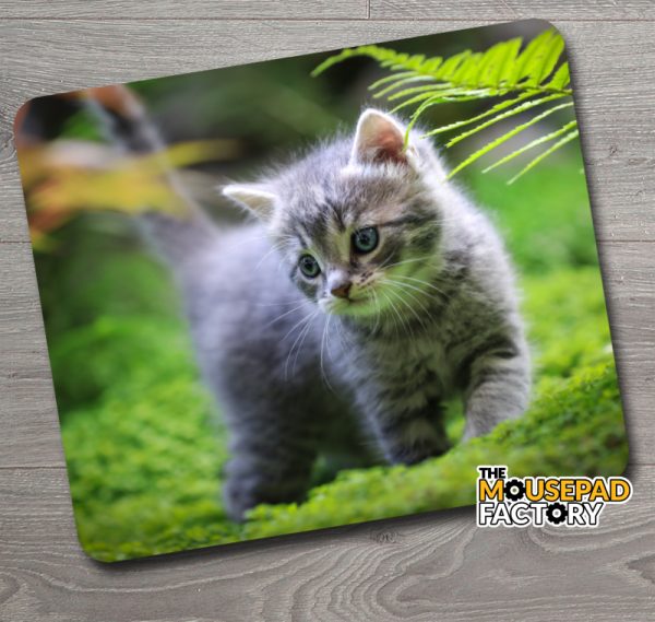 Kitten playing in the Woods Mouse Pad