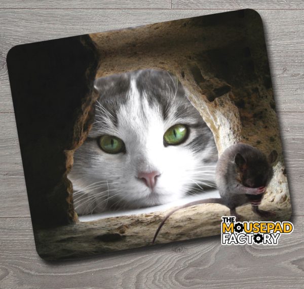 Cat and the Mouse Mouse Pad