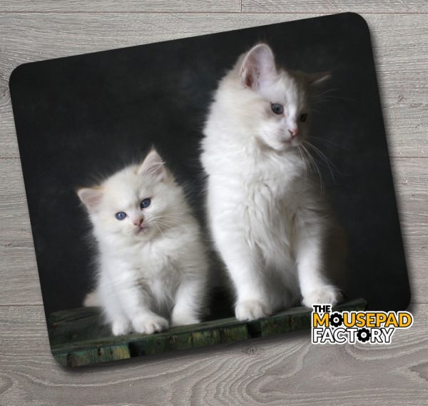Cute Adorable White Kittens Mouse Pad