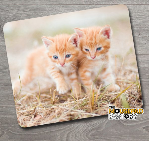 Cute Adorable Orange Kittens Mouse Pad