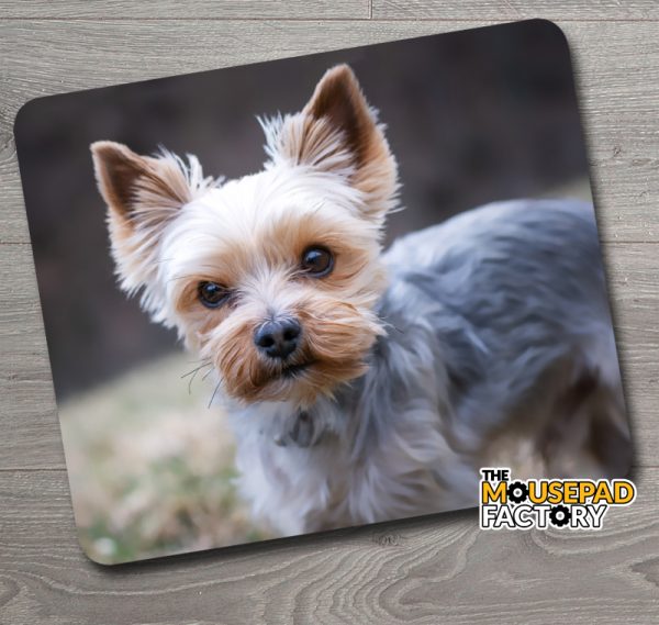 Cute Yorkshire Terrier Dog Mouse Pad