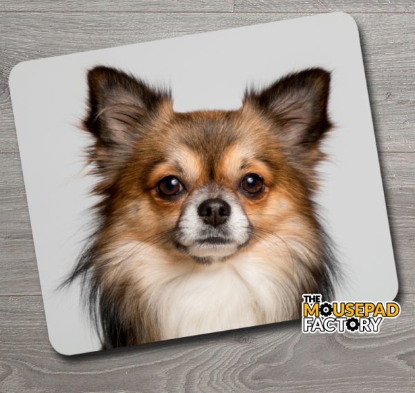 Adorable Chihuahua Dog Mouse Pad