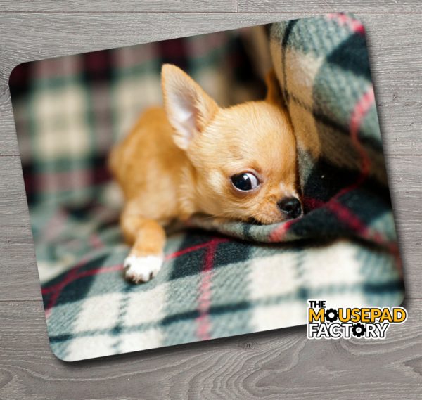 Cute Chihuahua Puppy Hiding Mouse Pad