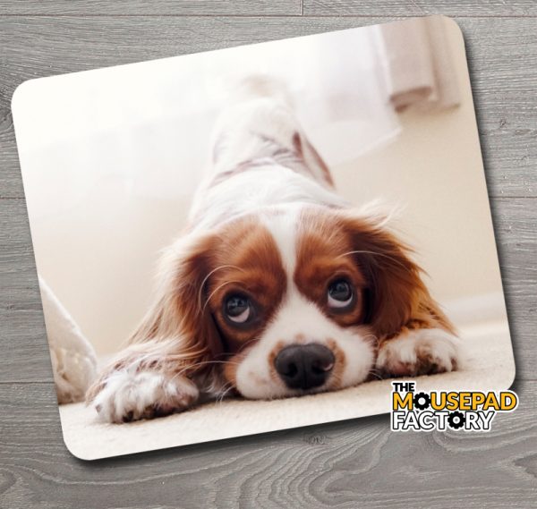 Cavalier King Charles Spaniel Mouse Pad