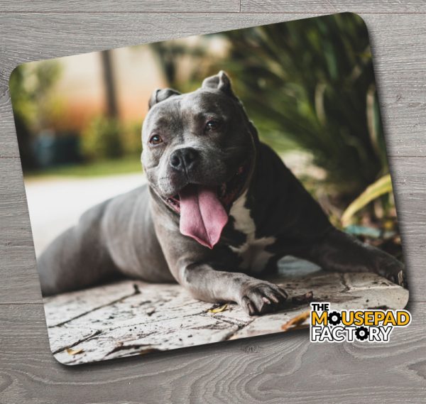 Pitbull Dog Mouse Pad