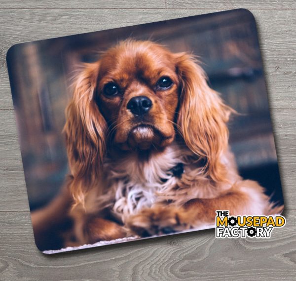 Cocker Spaniel Dog Mouse Pad