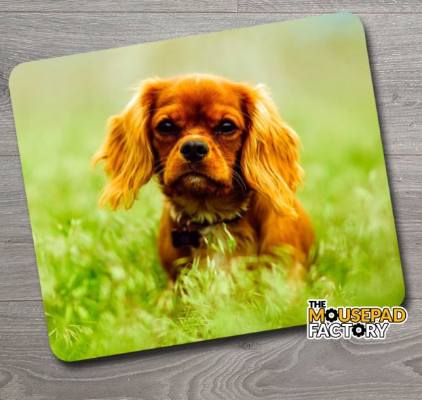 English Toy Spaniel Dog Mouse Pad
