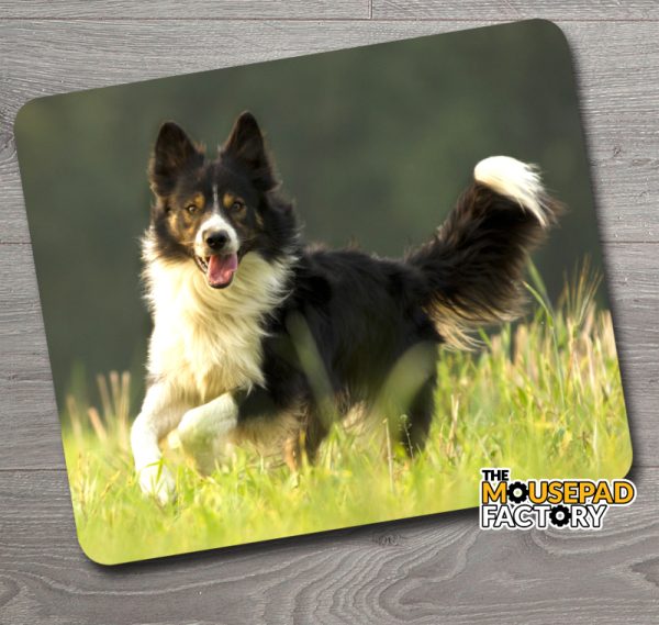 Border Collie Dog Mouse Pad