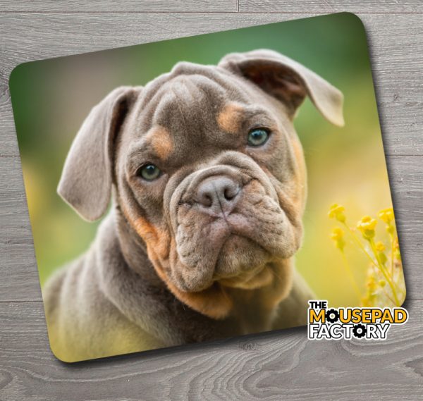 Boxer Dog Mouse Pad