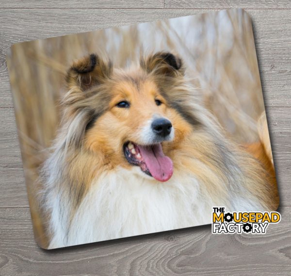 Long Haired Collie Dog Mouse Pad
