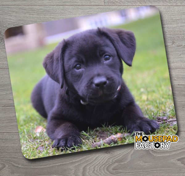 Cute Black Lab Puppy Mouse Pad
