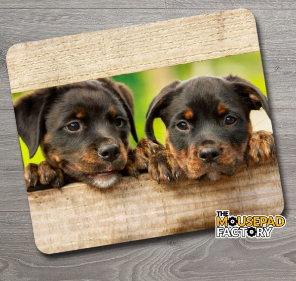 Cute Rottweiler Puppies Mouse Pad