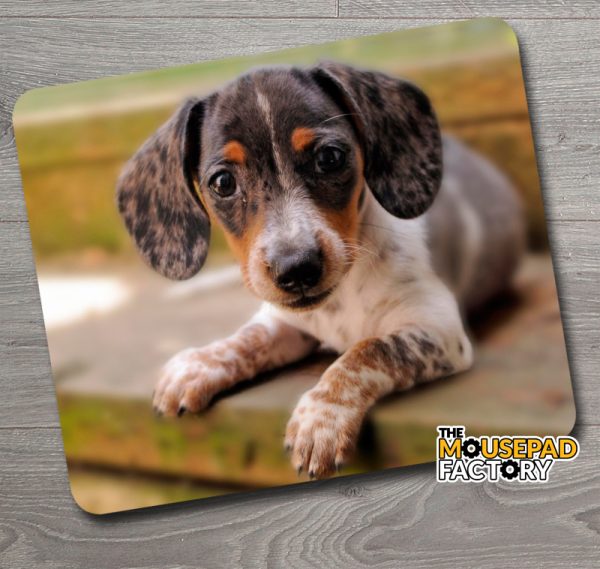 Cute Dachshund Puppy Mouse Pad