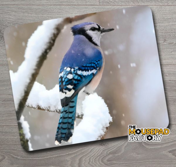 Bluejay Bird Mouse Pad