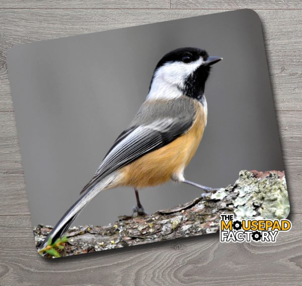 Black-capped Chickadee Bird Mouse Pad