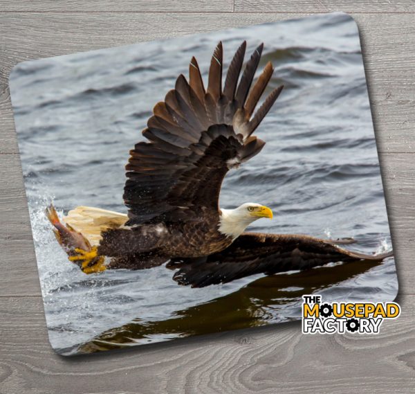 Bald Eagle with Fish Mouse Pad
