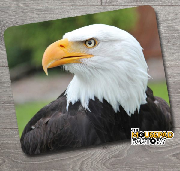 Bald Eagle Majestic Mouse Pad