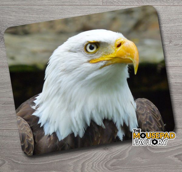 Bald Eagle Mouse Pad