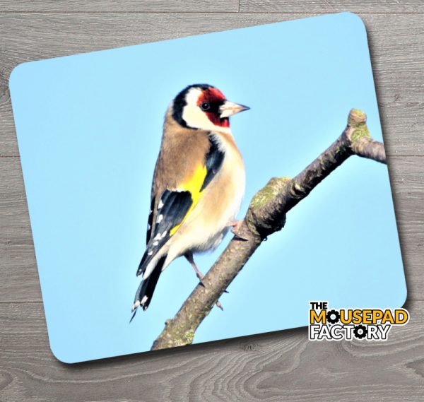 European Goldfinch Mouse Pad