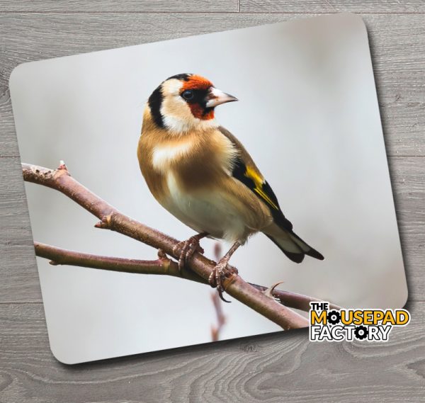 European Goldfinch Male Mouse Pad