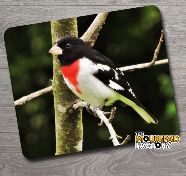 Rose-breasted Grosbeak Mouse Pad