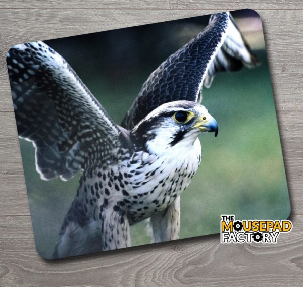 Peregrine Falcon Mouse Pad
